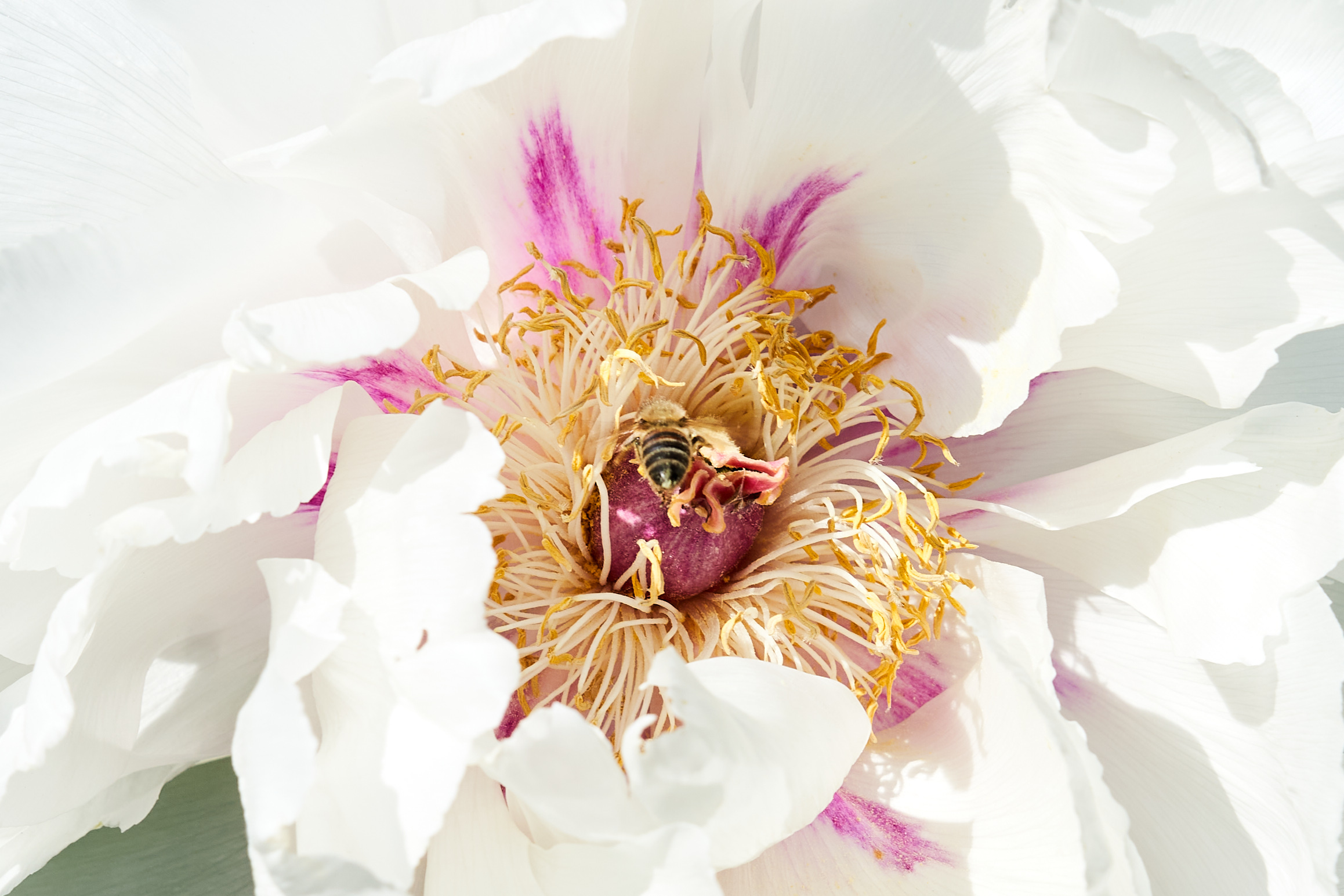 2022 05 08 Gruga 0335